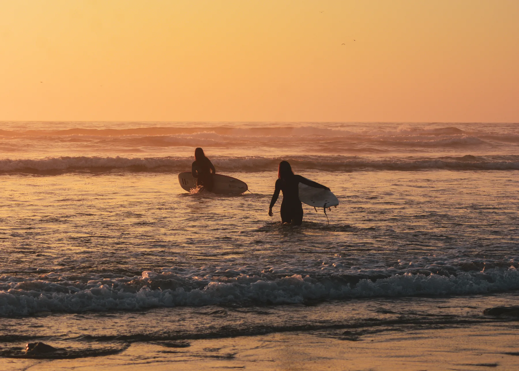 Surfers walking into the Atlantic at sunset